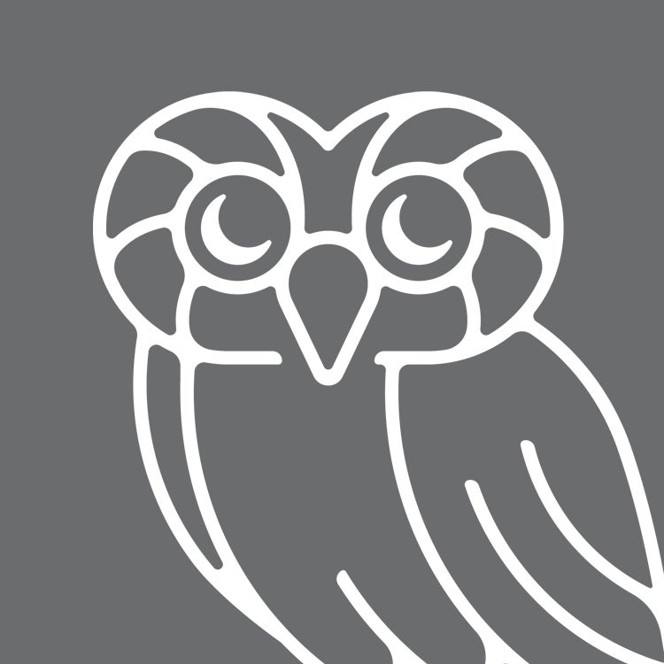 Headshot of owl as a placeholder for Kevin Huang Headshot