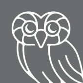 Headshot of owl as a placeholder for Kevin Huang Headshot